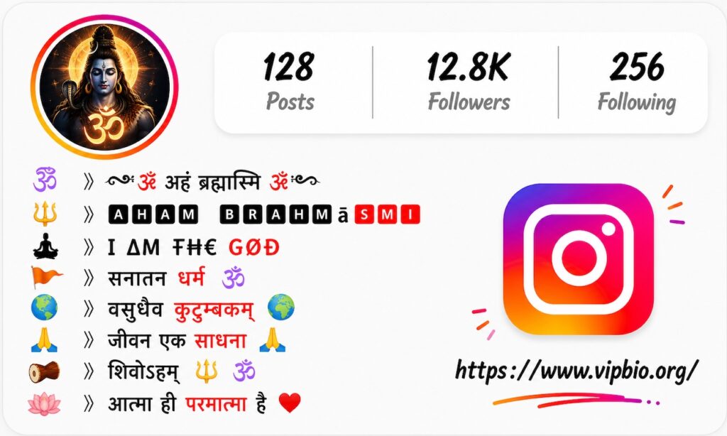 Sanskrit VIP Stylish Bio Ideas